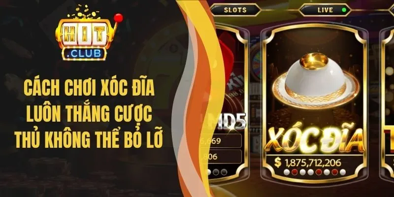 Cách Chơi Xóc Đĩa Luôn Thắng Cược Thủ Không Thể Bỏ Lỡ