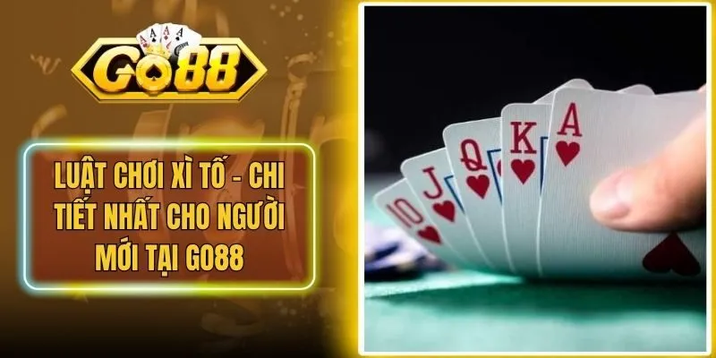 Luật Chơi Xì Tố - Chi Tiết Nhất Cho Người Mới Tại Go88